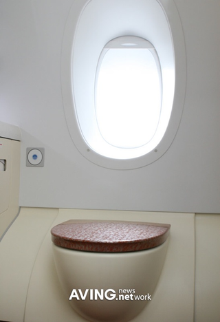Illustration for article titled Airbus 380 Has Bathroom Window, Insert Joke Here
